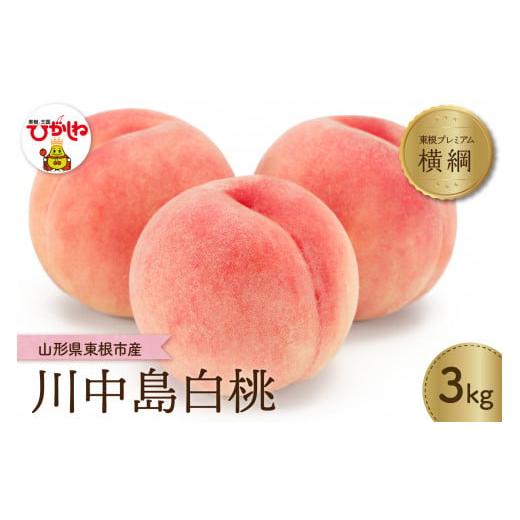 ふるさと納税 もも 山形県 東根市 2026年産 先行予約 もも「 横綱 川中島白桃」3kg JA提供 山形県 東根市 hi003-155