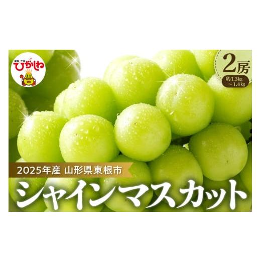 ふるさと納税 ぶどう マスカット 山形県 東根市 2026年 先行予約 ぶどう「シャインマスカット」2房 (約1.3kg〜1.4kg) 山形県 東根市 hi003-153