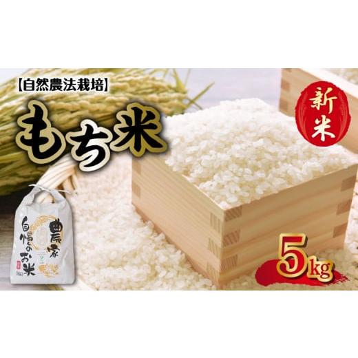 ふるさと納税 米・パン もち米 熊本県 宇土市 70-273 先行予約 カワノ農園 自然農法栽培もち米5kg