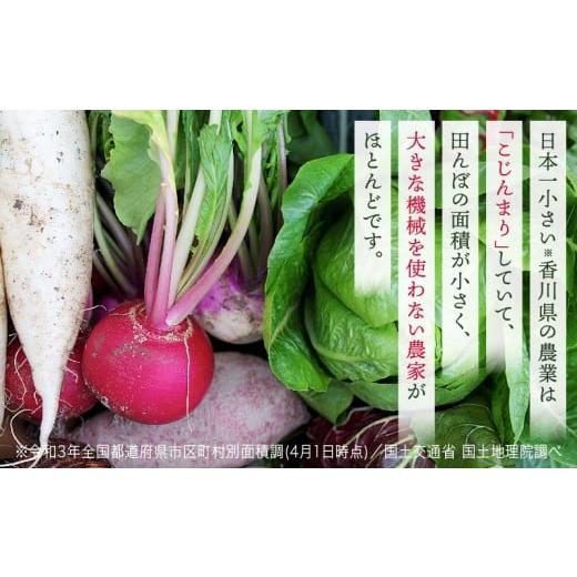 ふるさと納税 セット・詰合せ 香川県 三木町 プチマルシェお野菜ボックス(S) 季節の野菜６〜７種類  IDOMALL セレクト | 野菜 新鮮 冷蔵 旬 香川県 野菜ボ…の画像