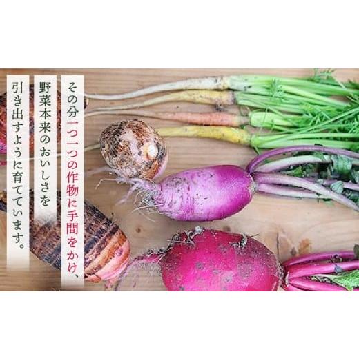 ふるさと納税 セット・詰合せ 香川県 三木町 プチマルシェお野菜ボックス(S) 季節の野菜６〜７種類  IDOMALL セレクト | 野菜 新鮮 冷蔵 旬 香川県 野菜ボ…の画像
