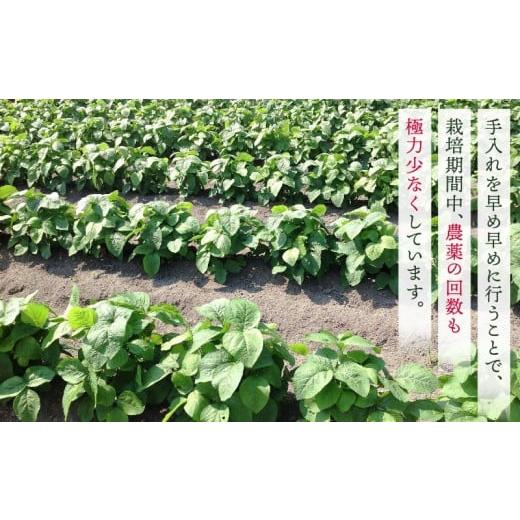 ふるさと納税 セット・詰合せ 香川県 三木町 プチマルシェお野菜ボックス(S) 季節の野菜６〜７種類  IDOMALL セレクト | 野菜 新鮮 冷蔵 旬 香川県 野菜ボ…の画像