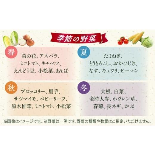 ふるさと納税 セット・詰合せ 香川県 三木町 プチマルシェお野菜ボックス(S) 季節の野菜６〜７種類  IDOMALL セレクト | 野菜 新鮮 冷蔵 旬 香川県 野菜ボ…の画像