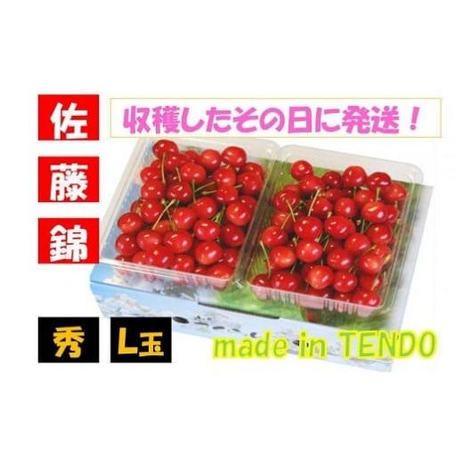 ふるさと納税 果物類 さくらんぼ 山形県 天童市 08-02-015　さくらんぼ(佐藤錦)700g