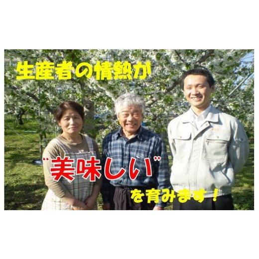 ふるさと納税 果物類 さくらんぼ 山形県 天童市 08-02-015　さくらんぼ(佐藤錦)700g