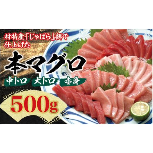 ふるさと納税 マグロ 和歌山県 北山村 1ヶ月以内に発送 本マグロ(養殖)トロ&赤身セット 500g 配達日指定不可 まぐろ マグロ 鮪 中トロ 赤身 柵 nks110D 通…