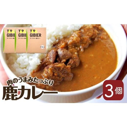 ふるさと納税 鹿肉 山梨県 丹波山村 タバジビエ 鹿カレー(3パック