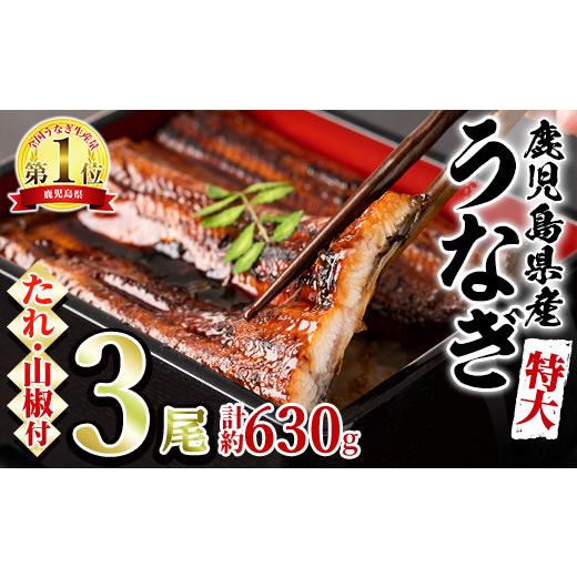 ふるさと納税 うなぎ 鹿児島県 東串良町 0204356a 東串良町のうなぎ蒲焼(無頭)(3尾・計約630g・タレ、山椒付)うなぎ 高級 ウナギ 鰻 国産 蒲焼 蒲焼き たれ …