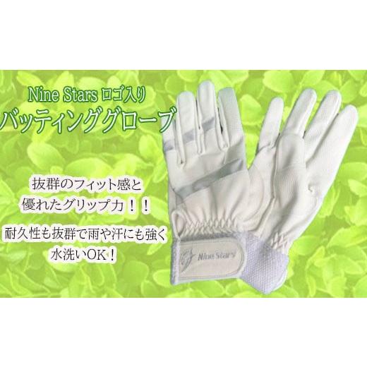 ふるさと納税 家具・装飾品 奈良県 桜井市 AB-78. 目指せ 甲子園 バッティング用 手袋 ナインスターズ NST-100 M M