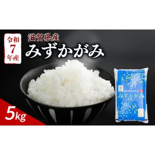 ふるさと納税 米 滋賀県 彦根市 みずかがみ 5kg 令和7年産 米 精米 こめ コメ お米 ご飯 5キロ 令和7年 滋賀 彦根 近江米