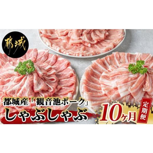 ふるさと納税 宮崎県 都城市 「観音池ポーク」しゃぶしゃぶ2.4kgセット定期便(10ヶ月)_T120(10)-7201_(都城市) しゃぶしゃぶ用豚肉が毎月届く 部位食べ比…