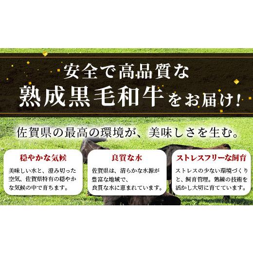 ふるさと納税 牛 ロース 佐賀県 鹿島市 W-2 生まれ育つ肉『口さかしい』教科課程５回定期便 佐賀県産黒毛和牛 ロースビフテキ＆すきやき肉