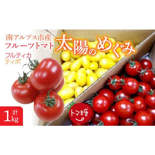 ふるさと納税 トマト ミニトマト 山梨県 南アルプス市 フルーツトマト「太陽のめぐみ」1kg(フルティカ&ティポ) AL
