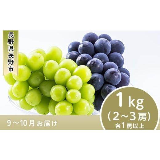 ふるさと納税 果物類 長野県 長野市 J0502 長野市産 ナガノパープル&シャインマスカット詰合せ1kg 2026年9月以降出荷分 フルーツ ぶどう 葡萄 果物 人気 種…