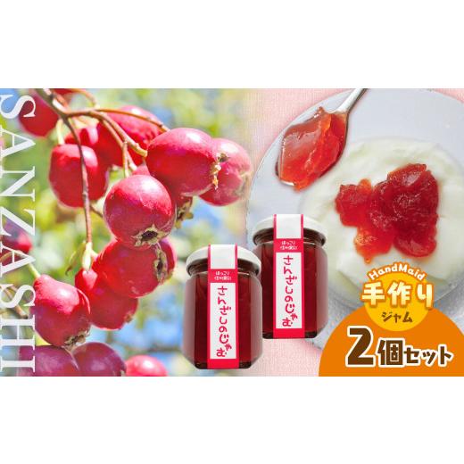 ふるさと納税 ジャム 長野県 天龍村 さんざしのじゃむ 2個セット|ジャム フルーツ ジュレ 加工品 瓶詰 セット 長野県 天龍 てんりゅう