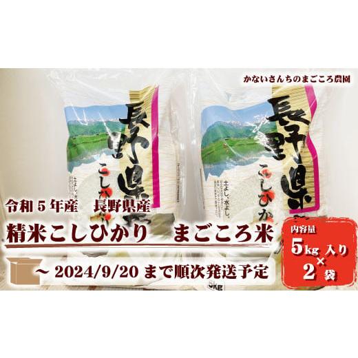 ふるさと納税 長野県 須坂市 令和5年産 長野県産精米こしひかり まごころ米10kg(5kg入り×2袋)[かないさんちのまごころ農園] 2023年〜20…