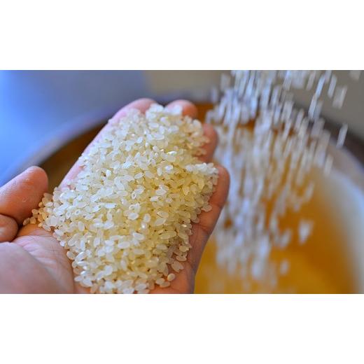 ふるさと納税 愛知県 碧南市 【お米マイスター】ほっ 懐かし米　定期便（5kg×12回）　H056-099