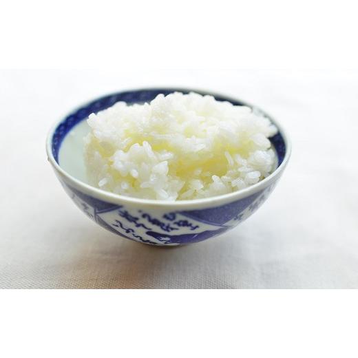 ふるさと納税 愛知県 碧南市 【お米マイスター】ほっ 懐かし米　定期便（5kg×12回）　H056-099