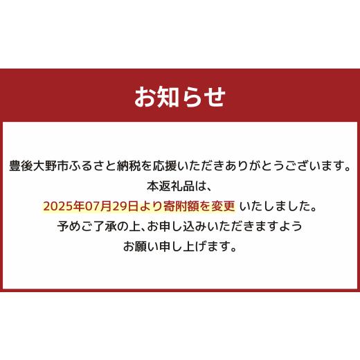 ふるさと納税 加工品等 はちみつ 大分県 豊後大野市 025-764x2 TV番組で紹介されました 日本ミツバチ の 純粋 生蜂蜜 440g ハチミツ はちみつ 国産 生はちみつの画像