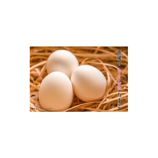 ふるさと納税 卵(鶏、烏骨鶏等) 千葉県 匝瑳市 匝瑳の“さくら色"たまご Lサイズ 贈答用60個 / 卵 タマゴ 玉子 たまご さくら色たまご 新鮮 千葉県 匝瑳…