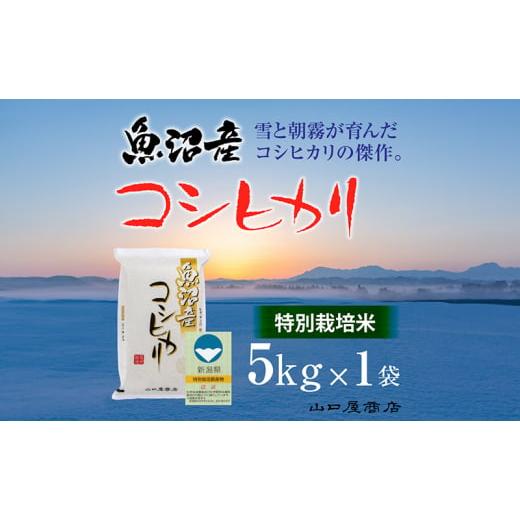 ふるさと納税 米 コシヒカリ 新潟県 十日町市 厳選 十日町育ち “特別栽培米" 魚沼産コシヒカリ 5kg