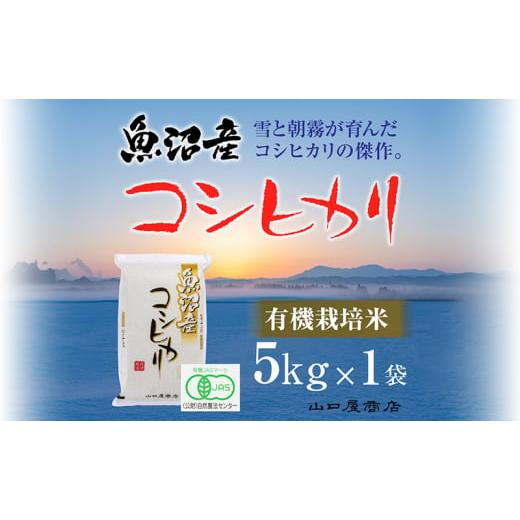 ふるさと納税 米 コシヒカリ 新潟県 十日町市 厳選 十日町育ち “有機栽培米" 魚沼産コシヒカリ 5kg