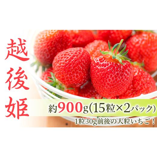 ふるさと納税 いちご 新潟県 胎内市 23-C1いちご越後姫900g(15粒×2パック)新潟県産