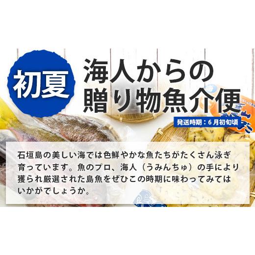 【新品 30%off 送料無料】 ふるさと納税 沖縄県 石垣市 SH-3 石垣島のタカラモノ便 【TMF1882506955】(66300円)