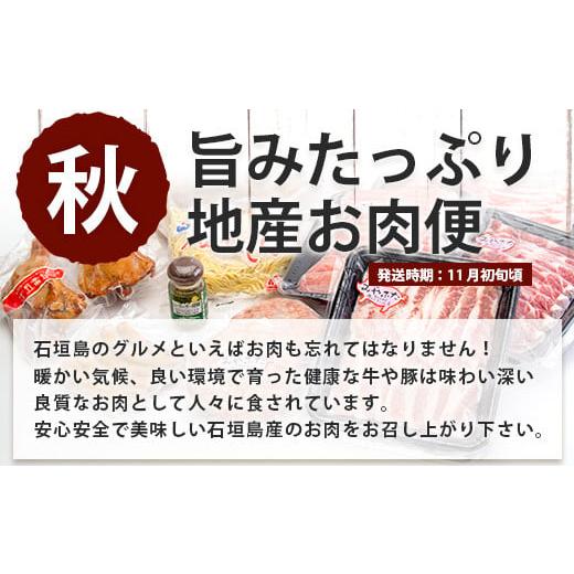 【新品 30%off 送料無料】 ふるさと納税 沖縄県 石垣市 SH-3 石垣島のタカラモノ便 【TMF1882506955】(66300円)