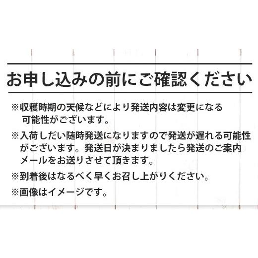 【新品 30%off 送料無料】 ふるさと納税 沖縄県 石垣市 SH-3 石垣島のタカラモノ便 【TMF1882506955】(66300円)
