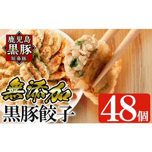 ふるさと納税 餃子 鹿児島県 姶良市 a441 鹿児島黒豚「短鼻豚」無添加餃子セット48個 鹿児島ますや 姶良市 ギョーザ 餃子 無添加 惣菜 おかず おつまみ 冷凍 …