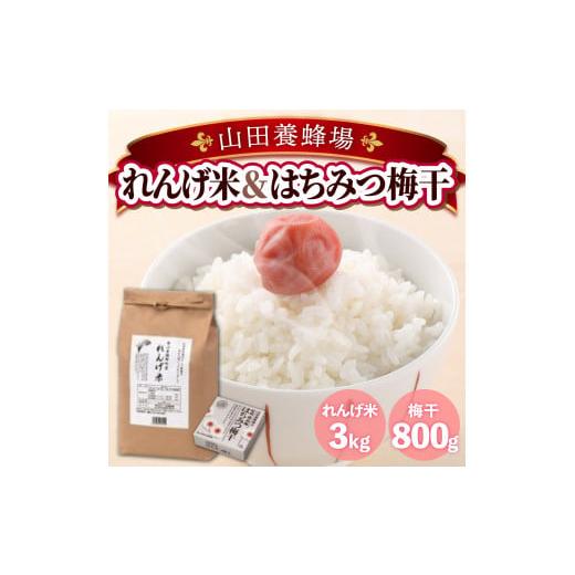 ふるさと納税 岡山県 鏡野町 A-8 山田養蜂場の 鏡野町産れんげ米&はちみつ梅干