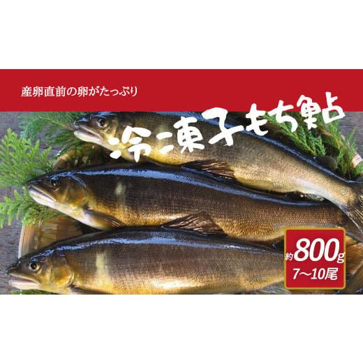 ふるさと納税 熊本県 相良村 産卵直前の卵たっぷりの冷凍子持鮎 約800g (7〜10尾)