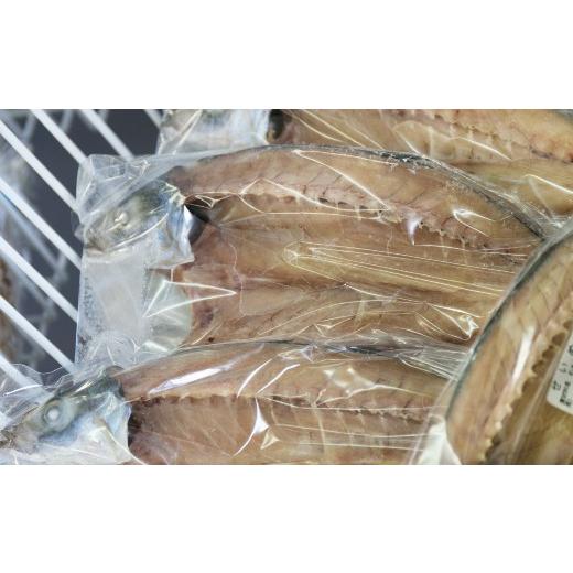 ふるさと納税 干物 アジ 高知県 室戸市 定期便6回 ナカイチ海産 アジの干物 奇数月 隔月 定期便 頒布会 鯵 あじ 6カ月 魚介 魚 海鮮 人気 おすすめ 干物定期便…_4