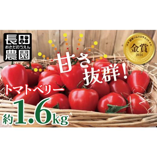 ふるさと納税 トマト ミニトマト 愛知県 碧南市 甘さ抜群 トマト嫌いでも食べられるトマトベリー 約1.6kg 野菜ソムリエサミット 金賞 受賞 長田農園 産地直送 …