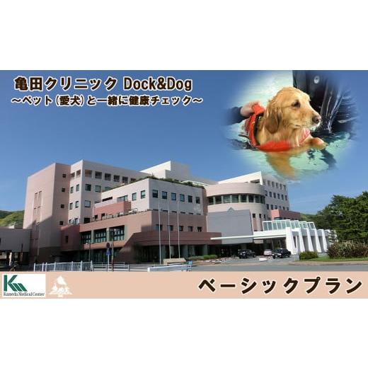 ふるさと納税 千葉県 鴨川市 [亀田クリニック Dock&amp;Dog]ベーシックプラン 1名様(平日限定1泊2食付) [0350-0002]