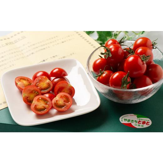 ふるさと納税 トマト ミニトマト 三重県 紀北町 期間限定・数量限定