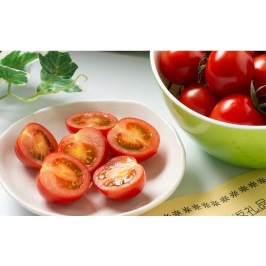 ふるさと納税 トマト ミニトマト 三重県 紀北町 期間限定・数量限定