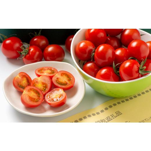ふるさと納税 トマト ミニトマト 三重県 紀北町 期間限定・数量限定