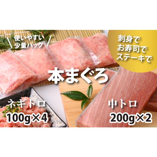 ふるさと納税 三重県 紀北町 まぐろ三昧セット[本鮪の中トロ200g×2・ネギトロ100g×4袋][おすすめ返礼品][C47]