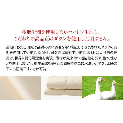 ふるさと納税 タオル・寝具 掛け布団 滋賀県 愛荘町 IWATA 羽ぶとん（羽毛ふとん） ホワイトダックダウン ダブルサイズ 羽毛布団 高級 AA008の画像