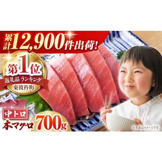 ふるさと納税 長崎県 東彼杵町 長崎県産 本マグロ「中トロ」(約700g) マグロ まぐろ 鮪 さしみ とろ まぐろ マグロ トロ 刺身 さしみ 刺し身 冷凍 まぐろ マグ…｜furusatochoice｜02