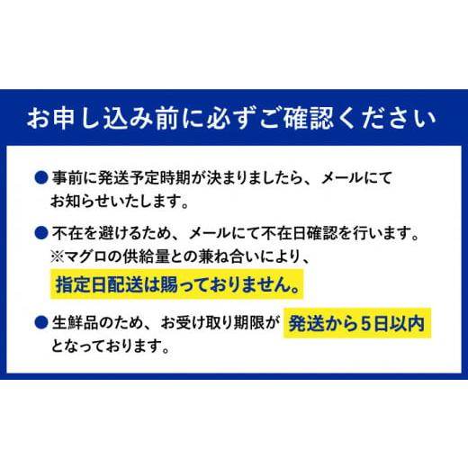 ふるさと納税 長崎県 東彼杵町 長崎県産 本マグロ「中トロ」(約700g) マグロ まぐろ 鮪 さしみ とろ まぐろ マグロ トロ 刺身 さしみ 刺し身 冷凍 まぐろ マグ…｜furusatochoice｜10