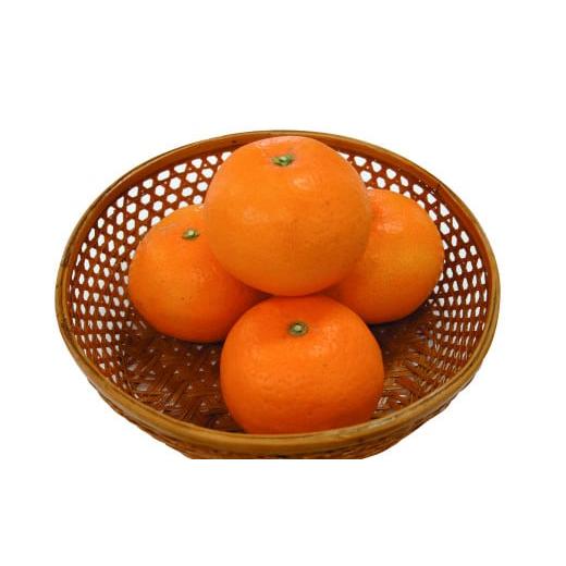 ふるさと納税 果物類 みかん 長崎県 時津町 味ロマン みかん 約5kg 糖度12度 長崎西彼農業協同組合 温州みかん ミカン 蜜柑 オレンジ くだもの 果物 フルーツ …