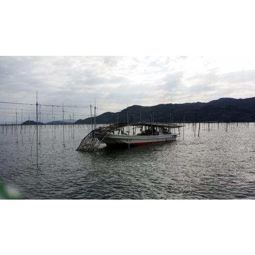 ふるさと納税 乾物 のり 熊本県 宇土市 網田漁協 初摘み御輿来（おこしき）海苔40枚 _U46-0011_2