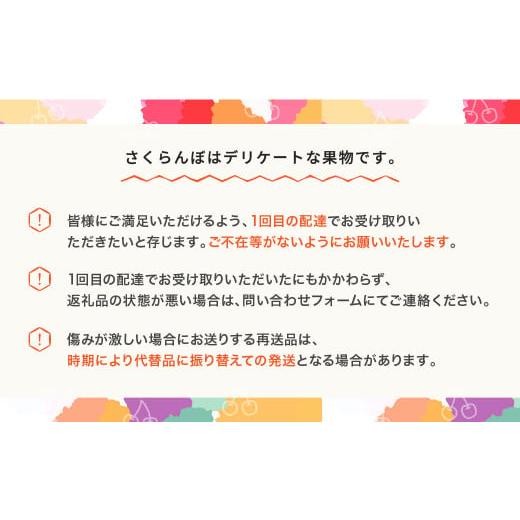 ふるさと納税 山形県 村山市 先行予約 さくらんぼ 佐藤錦 赤秀 500g×2パック L-2L玉 バラ詰 ご家庭用 2024年産 令和六年産 山形県産 mm-snpcx1000｜furusatochoice｜07