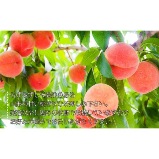 ふるさと納税 もも 山形県 天童市 08-06-017 もも(2品種詰合せセット)約3kgの画像