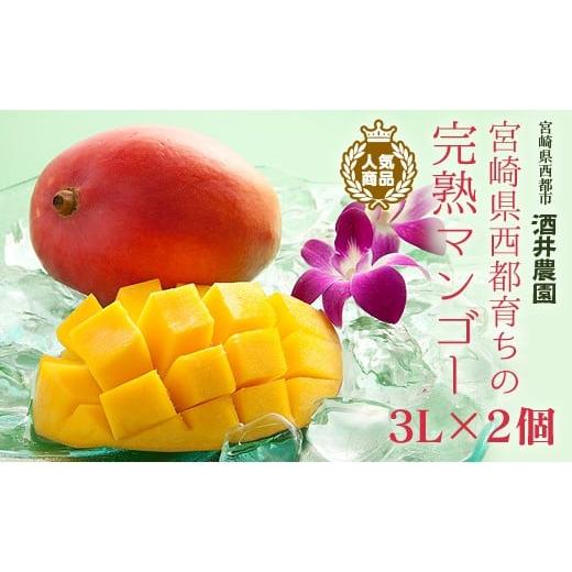 ふるさと納税 宮崎県 西都市 今が旬！酒井農園　西都産　宮崎完熟マンゴー3L×2個産地直送＜1.5-4＞宮崎マンゴー｜furusatochoice｜02