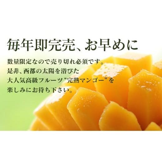 ふるさと納税 宮崎県 西都市 今が旬！酒井農園　西都産　宮崎完熟マンゴー3L×2個産地直送＜1.5-4＞宮崎マンゴー｜furusatochoice｜04