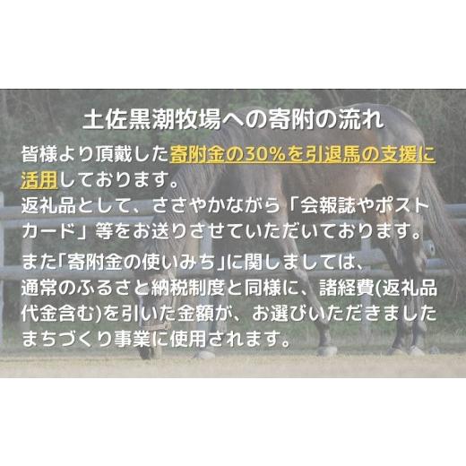 送料無料特別価格 ふるさと納税 高知県 須崎市 競走馬 支援 2万円 コース 黒潮友馬会応援 20000円 特典 ポストカード 高知県 須崎市 競馬 サラブレッド